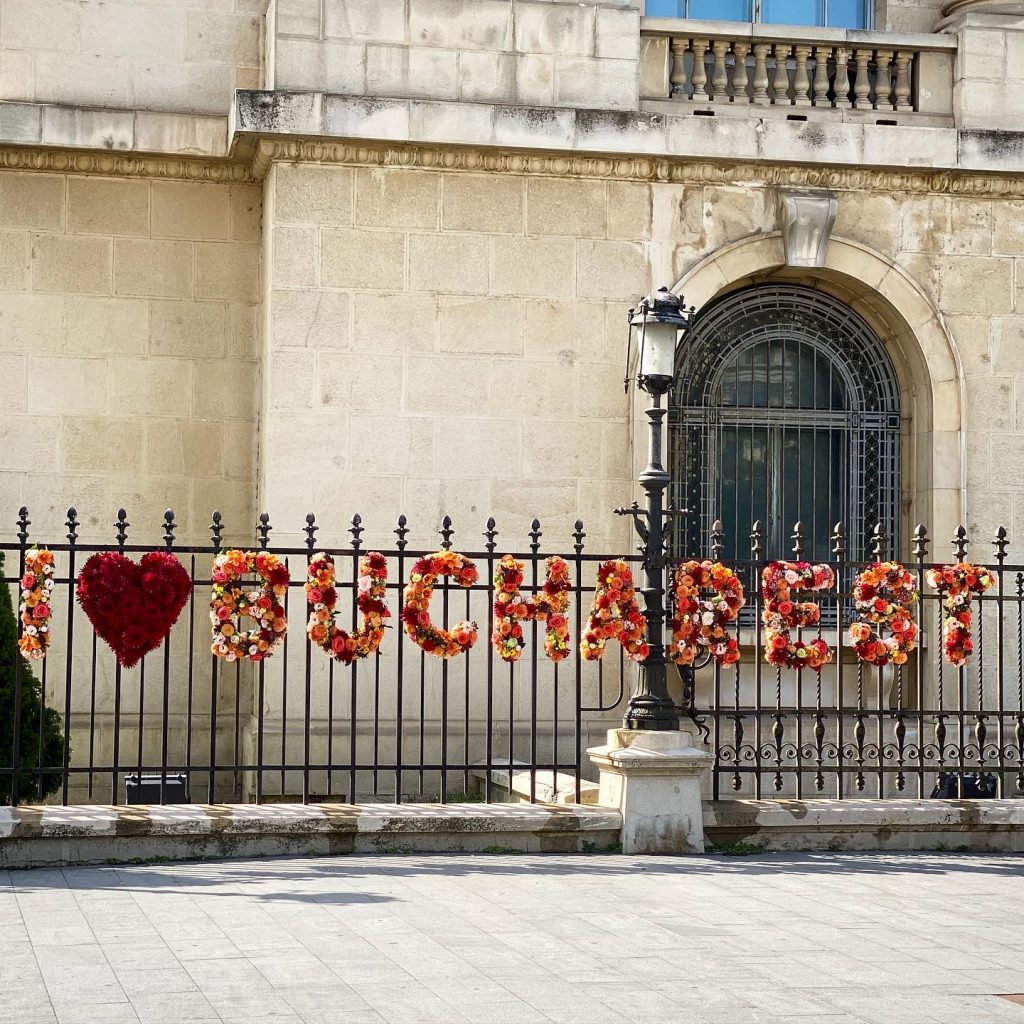 Florile au devent un manifest pentru frumuste si normalitate