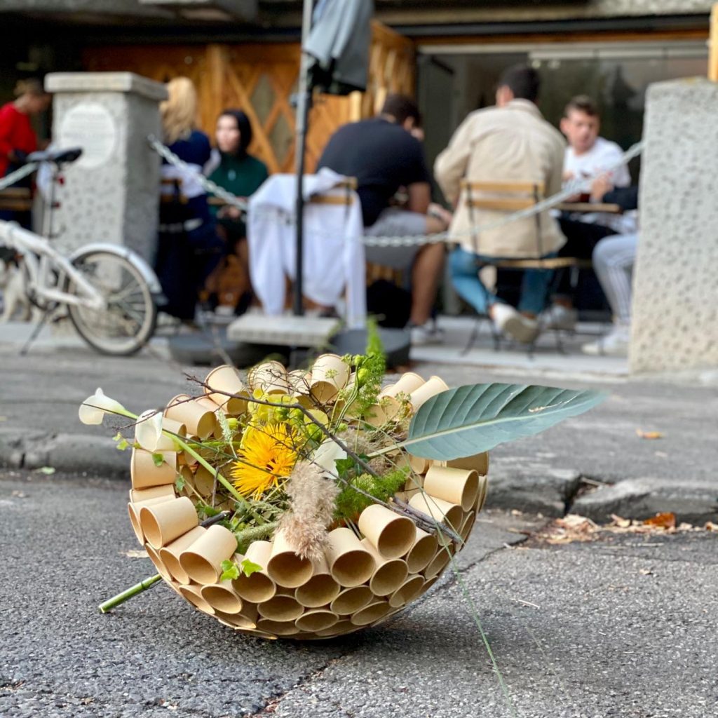 Florile au devent un manifest pentru frumuste si normalitate