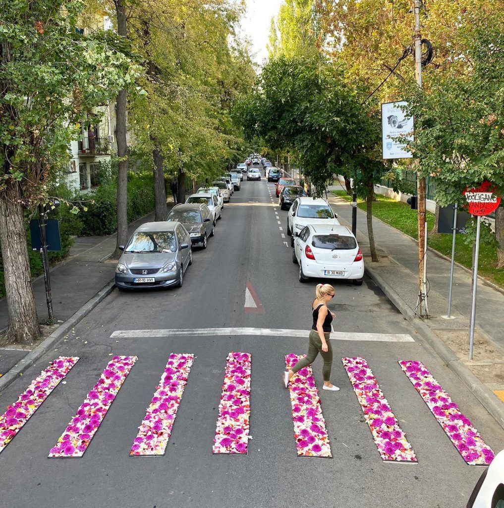 Florile au devent un manifest pentru frumuste si normalitate