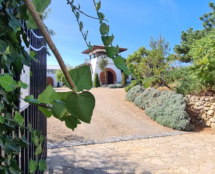 Degustare de vinuri la Mierla Alba