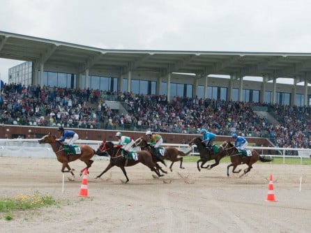 Jockey Clu Romania reinvie traditia curselor galop cu cai pur sange englez