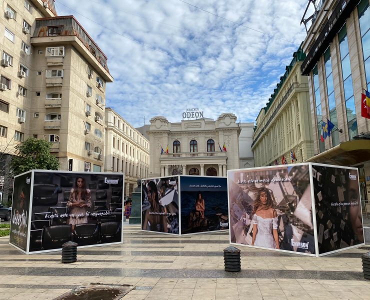 Don't Take them for Granted si Destul! atrag atentia prin arta in spatiul public