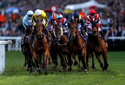 Jockey Clu Romania reinvie traditia curselor galop cu cai pur sange englez