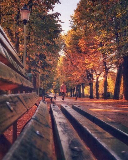 Despre Instagram si fotografii cu telefonul mobil