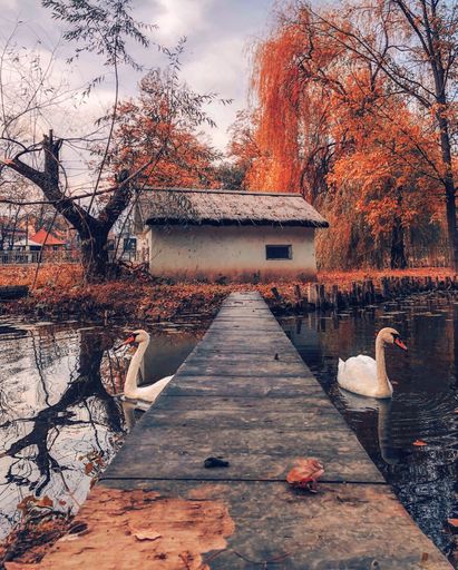 Despre Instagram si fotografii cu telefonul mobil