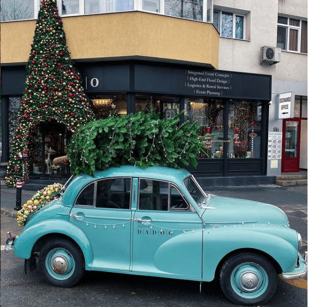 Descopera L'Atelier noul atelier floral Maison Dadoo