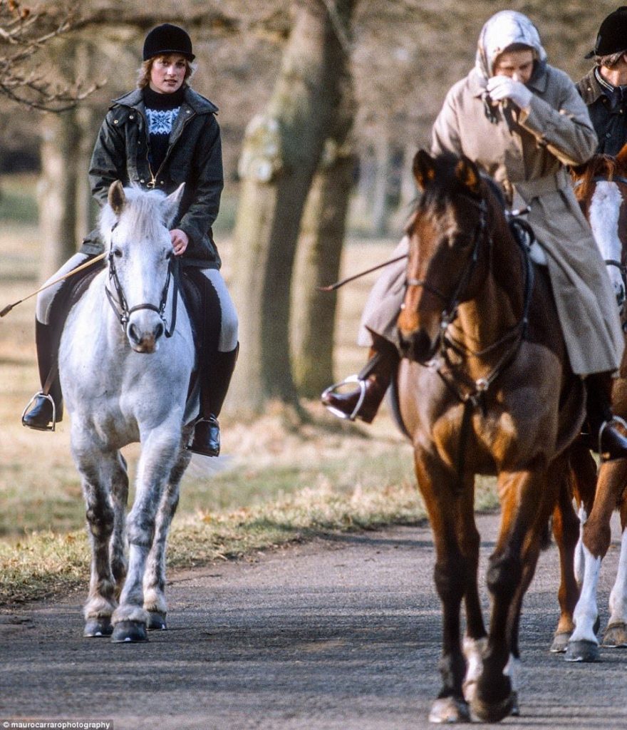 Misterele familiei regale britanice