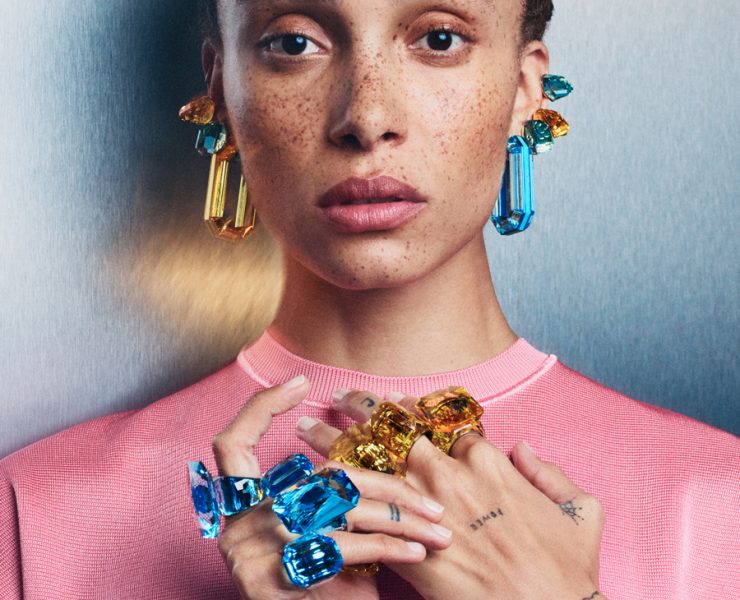 Noua viziune Swarovski
