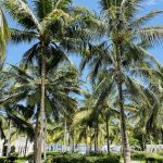 Ioana Burcea Paralela45 despre destinatii disponibile pentru vacante in 2021