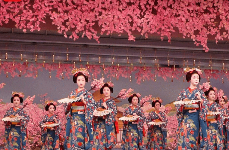 Povestea obiceiului Hanami si a ciresilor infloriti Sakura