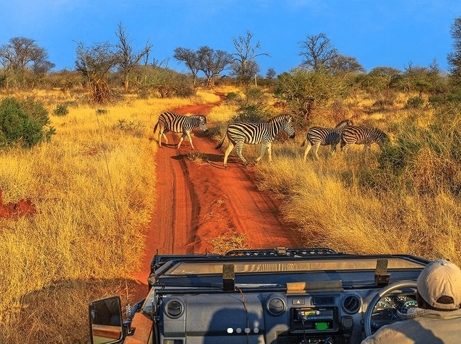 Carmen Negoita safari si plaja in Kenya