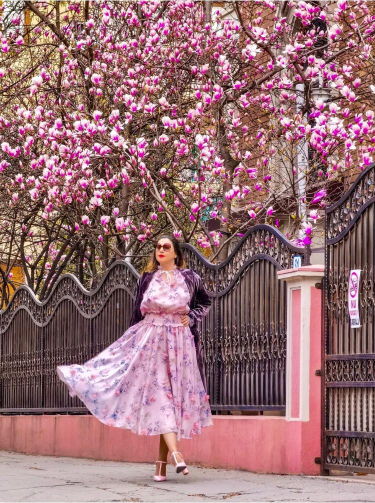 Vanatoarea de magnolii prin Bucuresti