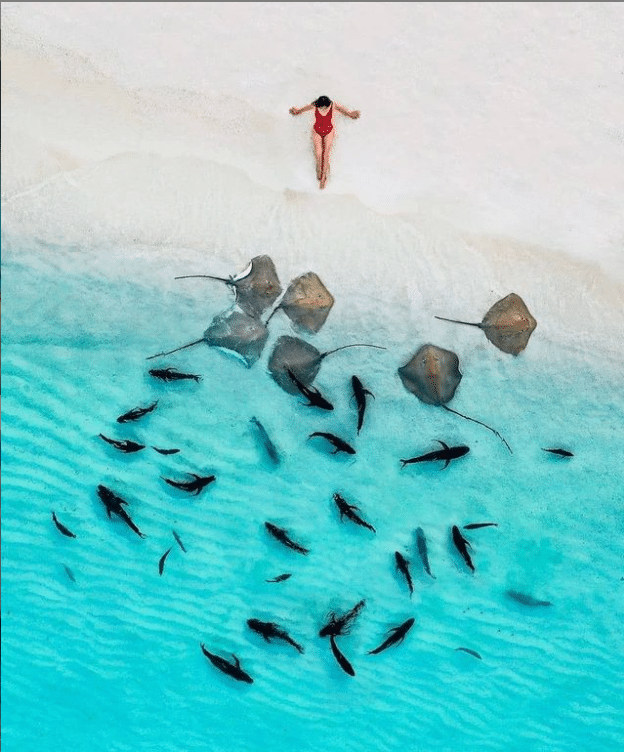 Despre Maldive si ce au aceste insule de oferit turistilor precum si recomandari de la celebritati