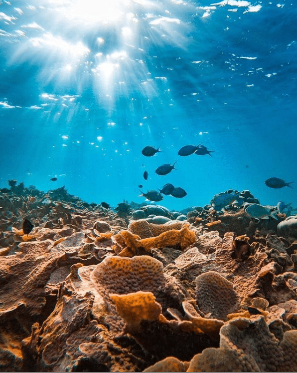 Despre Maldive si ce au aceste insule de oferit turistilor precum si recomandari de la celebritati