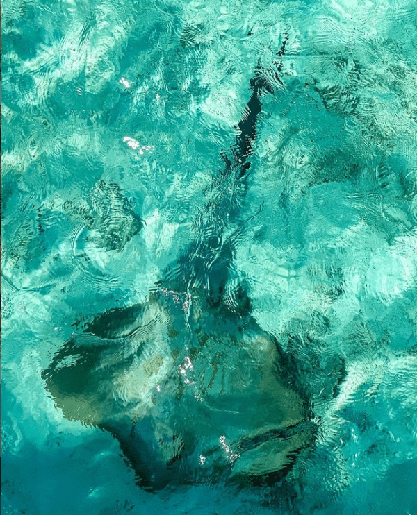 Despre Maldive si ce au aceste insule de oferit turistilor precum si recomandari de la celebritati