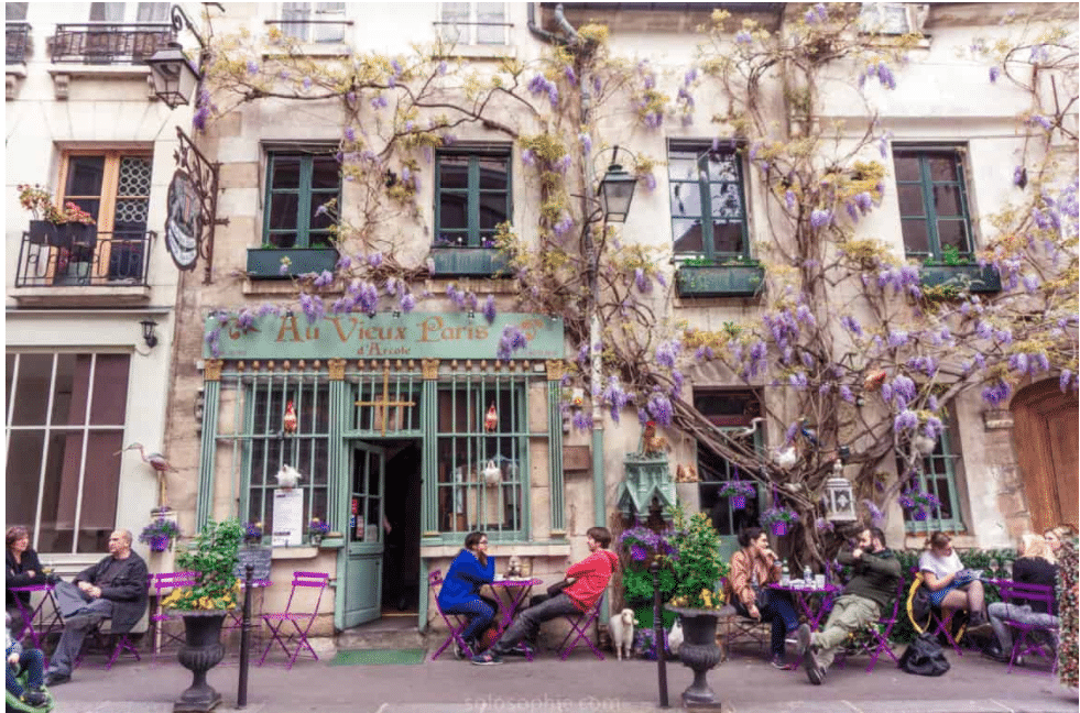 Totul despre glicina ori wisteria