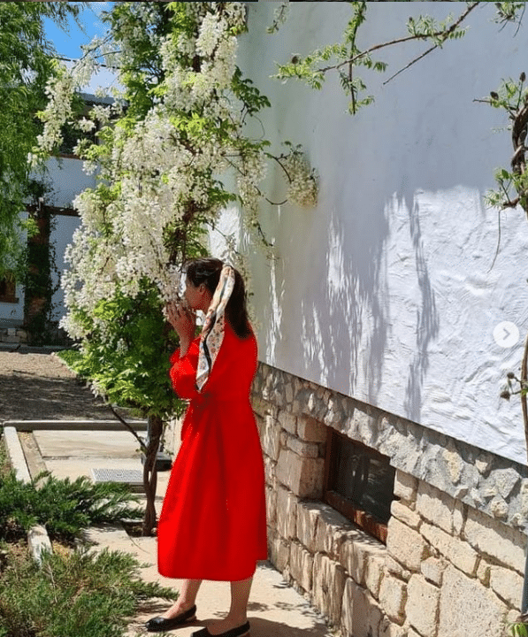 Totul despre glicina ori wisteria