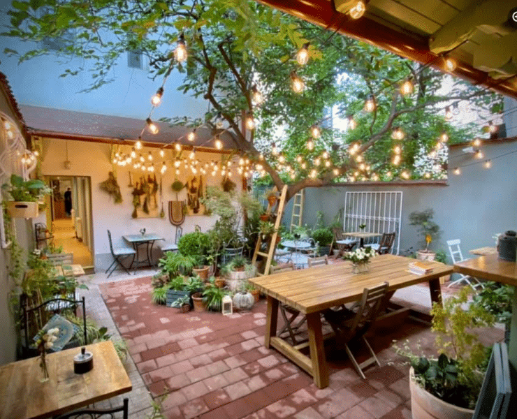 Cafenele restaurante si gelaterii pe care merita sa le incerci