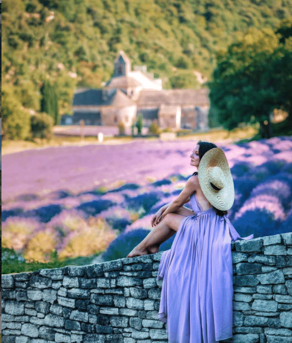 Despre plantatiile de lavanda