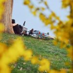 Primavara prin lentila celor mai talentati fotografi