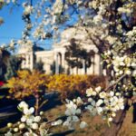 Primavara prin lentila celor mai talentati fotografi