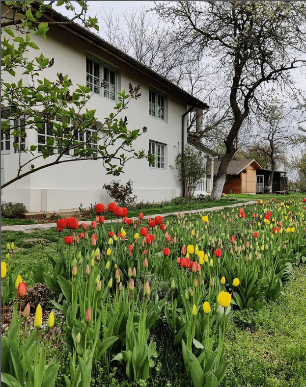 Locuri de poveste in care sa iti organizezi nunta in mediul rural