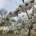 Locuri de poveste in care sa iti organizezi nunta in mediul rural