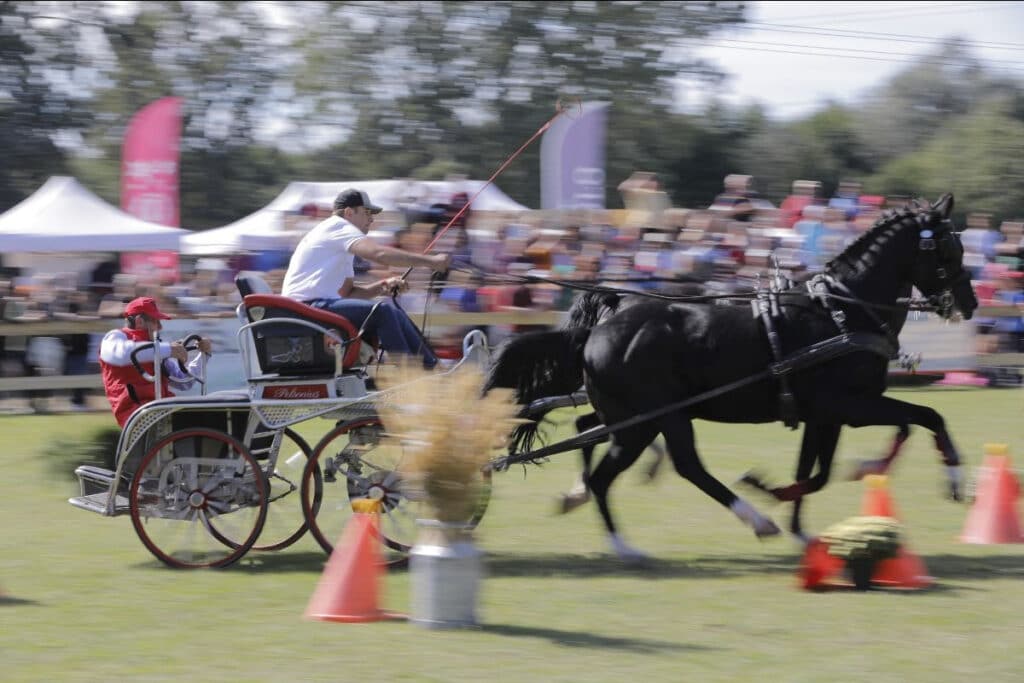 O atmosferă chic la Karpatia Horse Show 2022!